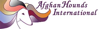 Afghan Hound International